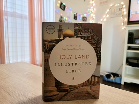 Are You Looking for a Beautiful, Illustrated Bible?
