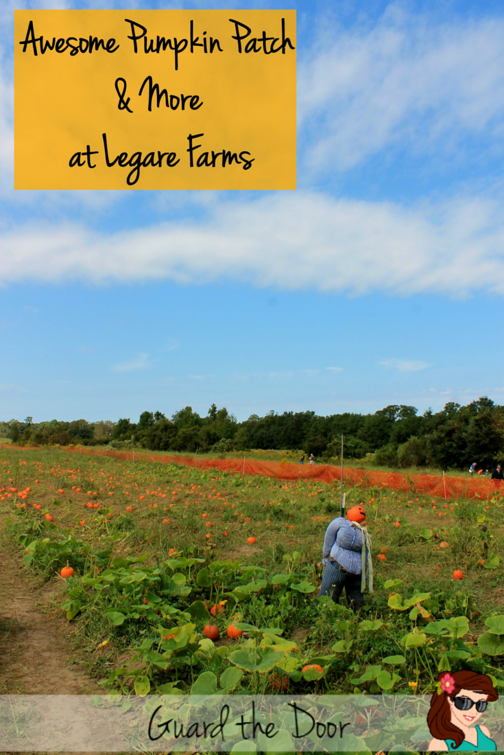 Awesome Pumpkin Patch & More at Legare Farms