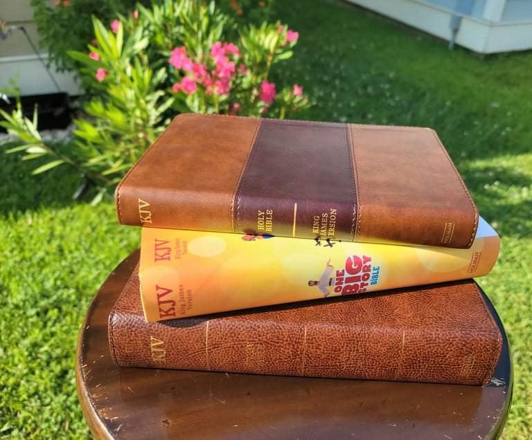 Check Out this Awesome Review and  Giveaway for a Holman King James Bible